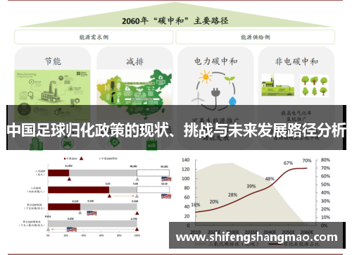 中国足球归化政策的现状、挑战与未来发展路径分析